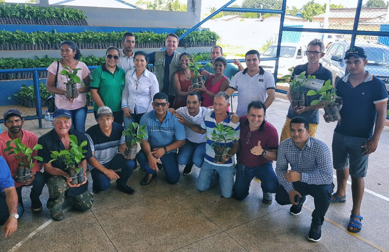 FOMENTO: Governo de Rondônia entrega mais de 12 mil mudas de café clonal para produtores