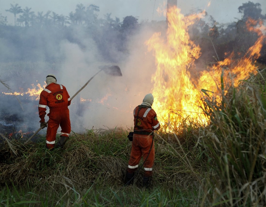 QUEIMADAS: MPF recomenda que União contrate com urgência mais 450 brigadistas para RO