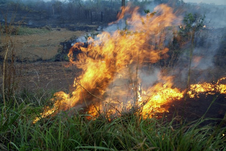 FOGO: Sedam intensifica ações de prevenção às queimadas e incêndios florestais em Rondônia