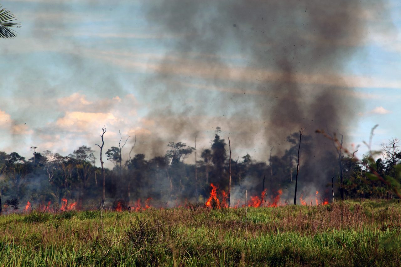 AMAZÔNIA LEGAL: Governo de Rondônia discute ações no combate a incêndios florestais