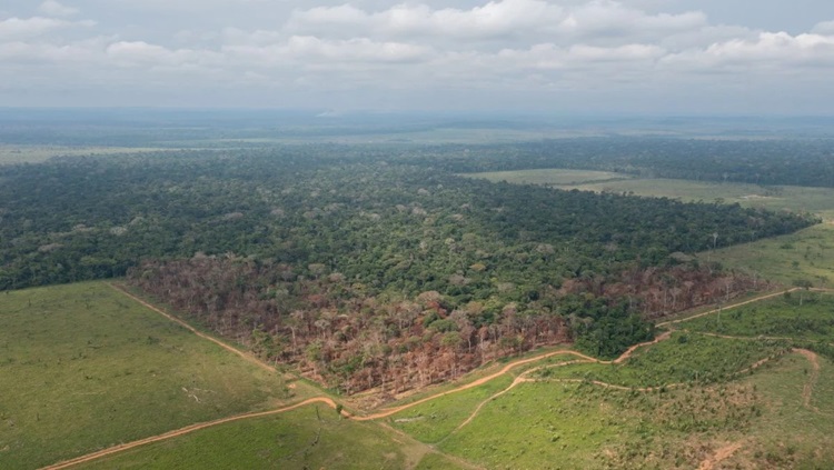 DESAPROPRIAÇÃO: ‘Pode acontecer um genocídio’, diz líder ambiental sobre Resex