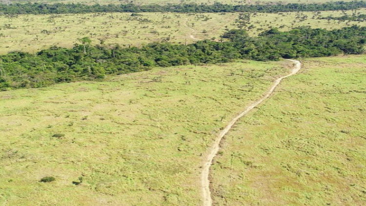  ONG RIO TERRA: Aberto cadastro  para a regularização ambiental e recuperação de áreas degradadas