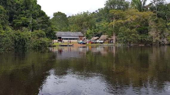 AGRICULTURA: Kit de castanhas é entregue para fortalecer a produção em Guajará