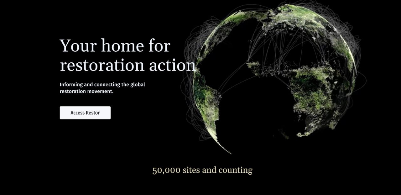 INOVAÇÃO: Lançada maior plataforma do mundo sobre restauração do ecossistema