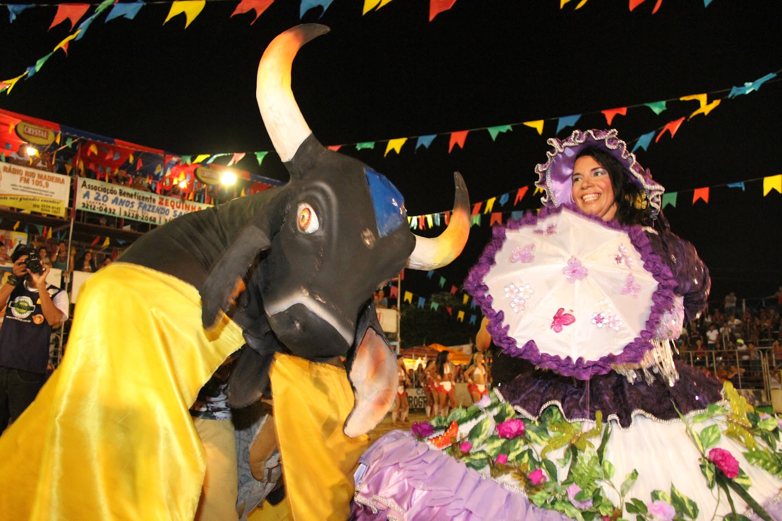 FLOR DO MARACUJÁ: Confira a coluna 