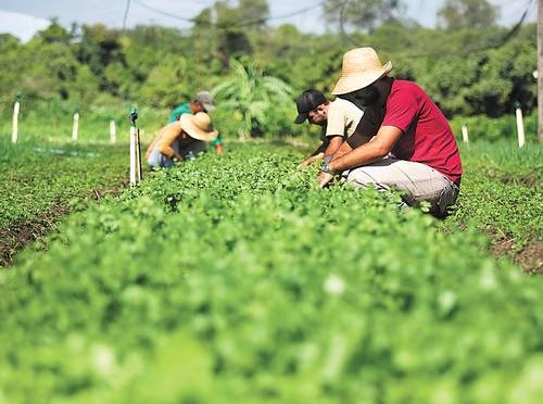 SUSTENTABILIDADE: Analista alerta que perfil do investidor do agronegócio está mudando