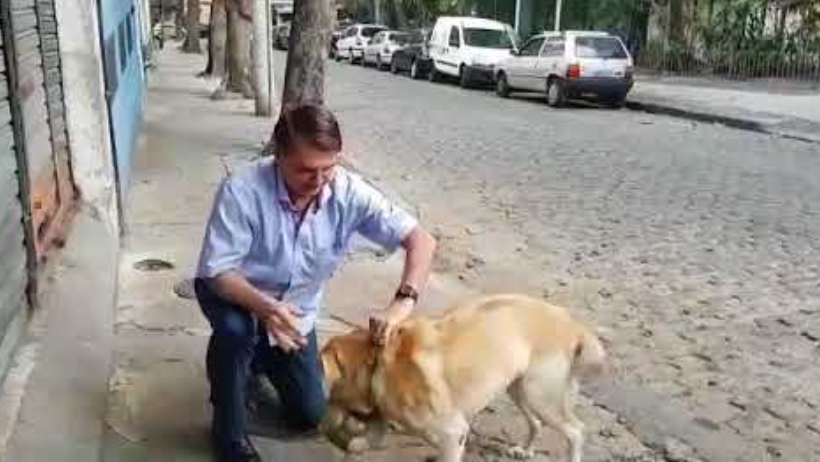 PETS: Bolsonaro anuncia criação da Secretaria dos Animais