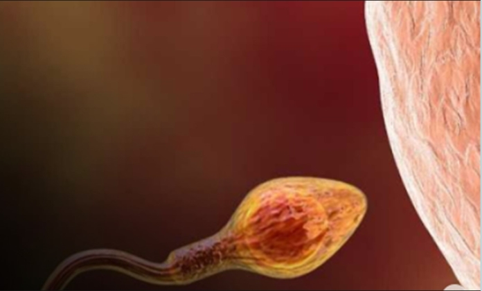 ESTUDOS RECENTES: Trauma pode atravessar gerações e deixar marcas biológicas 