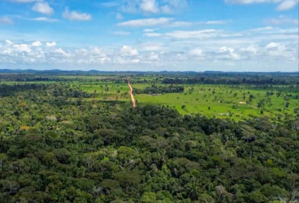 EM RONDÔNIA: MPRO firma TAC com Sedam para reforçar fiscalização ambiental