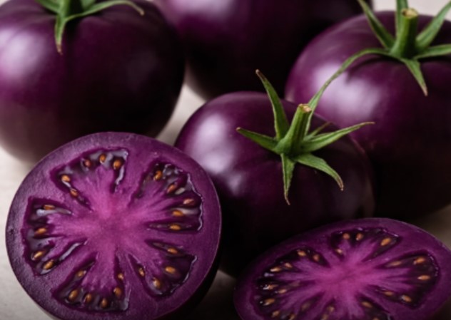 TOMATE ROXO: O novo superalimento que pode revolucionar a nutrição e combater ao câncer