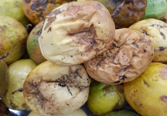 SUPERMERCADOS: Alta nos preços e produtos de baixa qualidade acendem alerta na capital