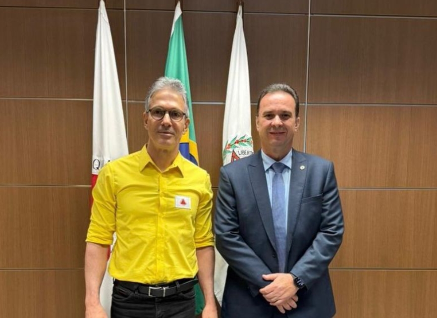 REUNIÃO: Presidente da Comissão de Saúde debate desafios do SUS em agenda nacional