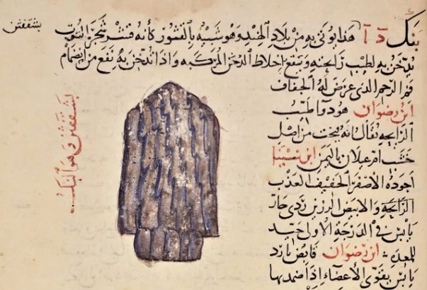 HIGIÊNE PESSOAL: Antes de beber, café era usado para lavar as mãos