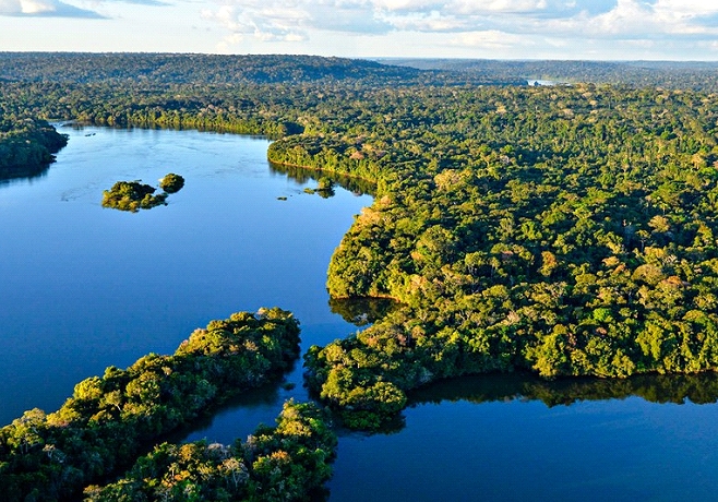 BOLSAS DE PESQUISA: Iniciativa Amazônia+10 lança chamada para fortalecer cadeias da sociobioeconomia