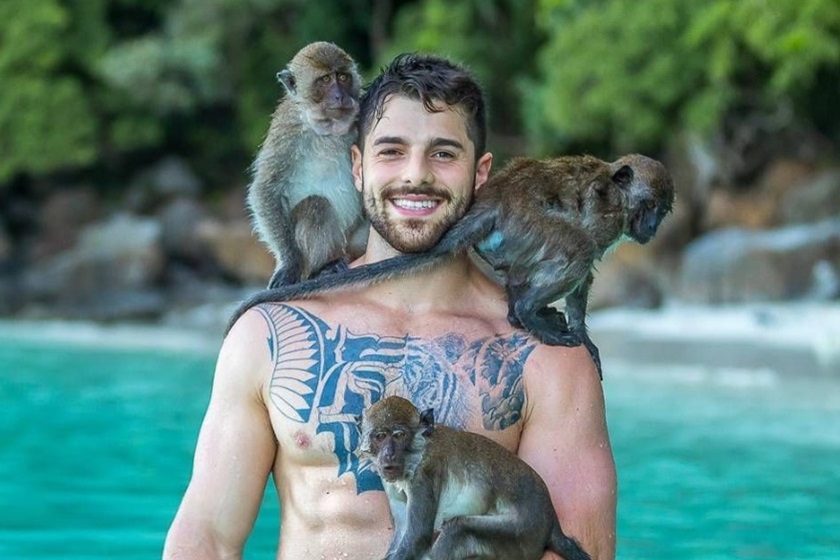 SE DEU MAL: DJ tenta imitar foto de Alok com macacos e vai parar no hospital