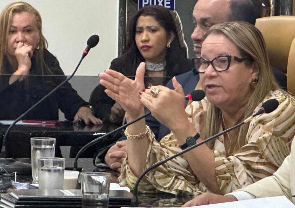 FEMINICÍDIO: Vereadora Ellis Regina sai em defesa da vida das mulheres