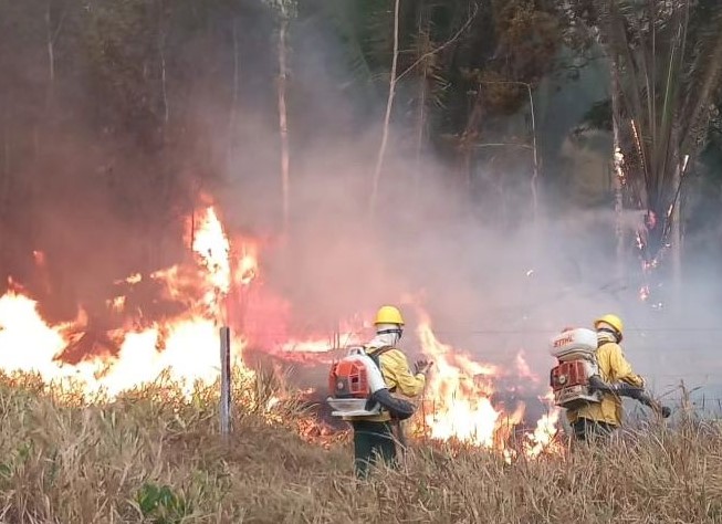 OPERAÇÃO TEMPORÃ: Ação reduz em 71,5% as áreas atingidas por incêndios no Parque Estadual de Guajará-Mirim