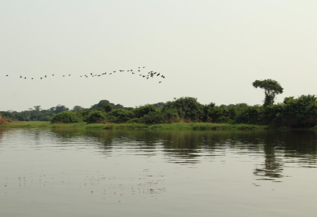 CONFERÊNCIA AMBIENTAL: Etapa estadual do evento discutirá cinco eixos temáticos