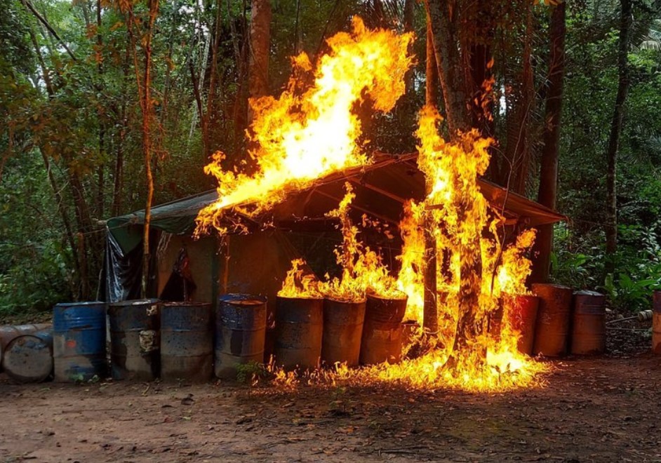 FLORESTA EM PÓ: Tráfico de cocaína movimenta US$ 6 bilhões por ano na Amazônia
