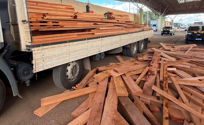 CRIME AMBIENTAL: PRF apreende cerca de 11 m de madeira transportada sem licença válida