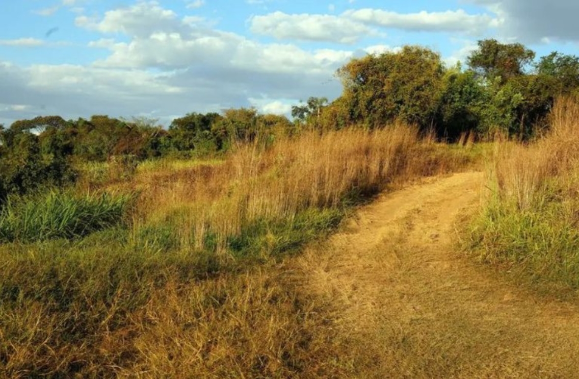 AÇÃO DO MPF: Justiça reconhece fazenda em Rondônia como área pública para reforma agrária