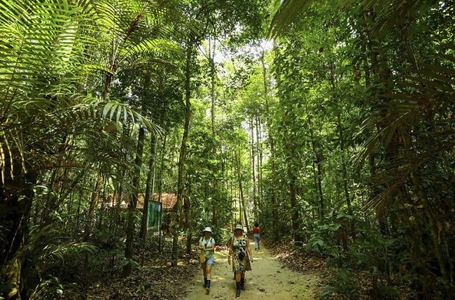 PROJETOS E INICIATIVAS: Mais Turismo abre nova chamada para impulsionar soluções inovadoras de impacto
