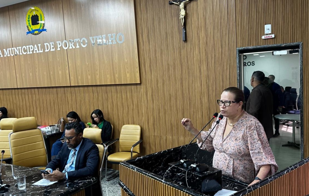 ELLIS REGINA: Vereadora destaca mobilização em Brasília pelo Piso Nacional dos Garis