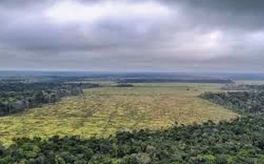 CICLOS DE CHUVAS: Desmatamento da Amazônia já causa prejuízos bilionários à economia brasileira