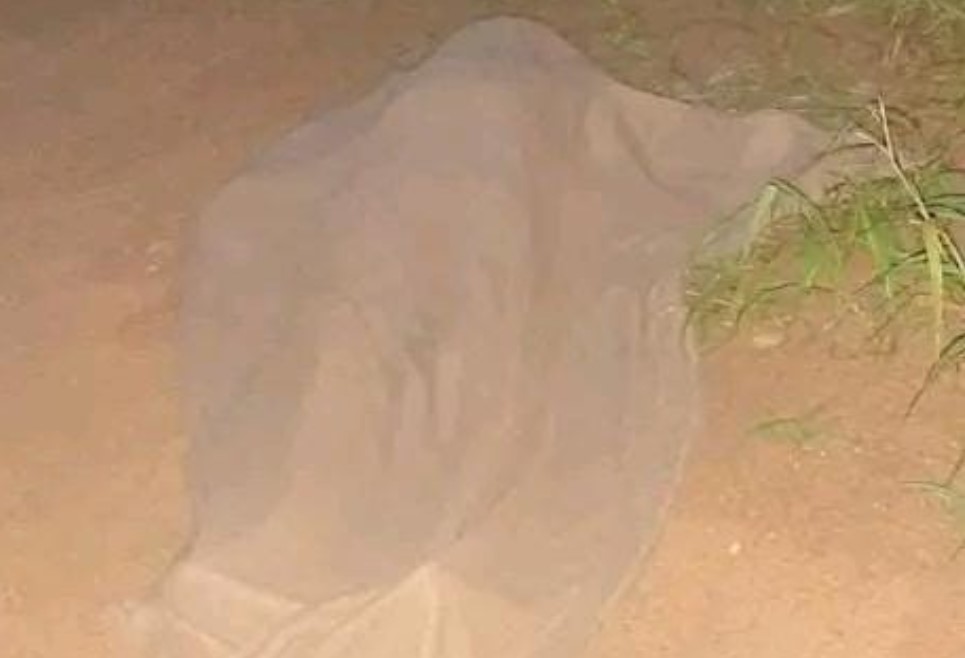 URU-EU-WAU-WAU: Indígena é encontrado morto às margens de estrada em Rondônia