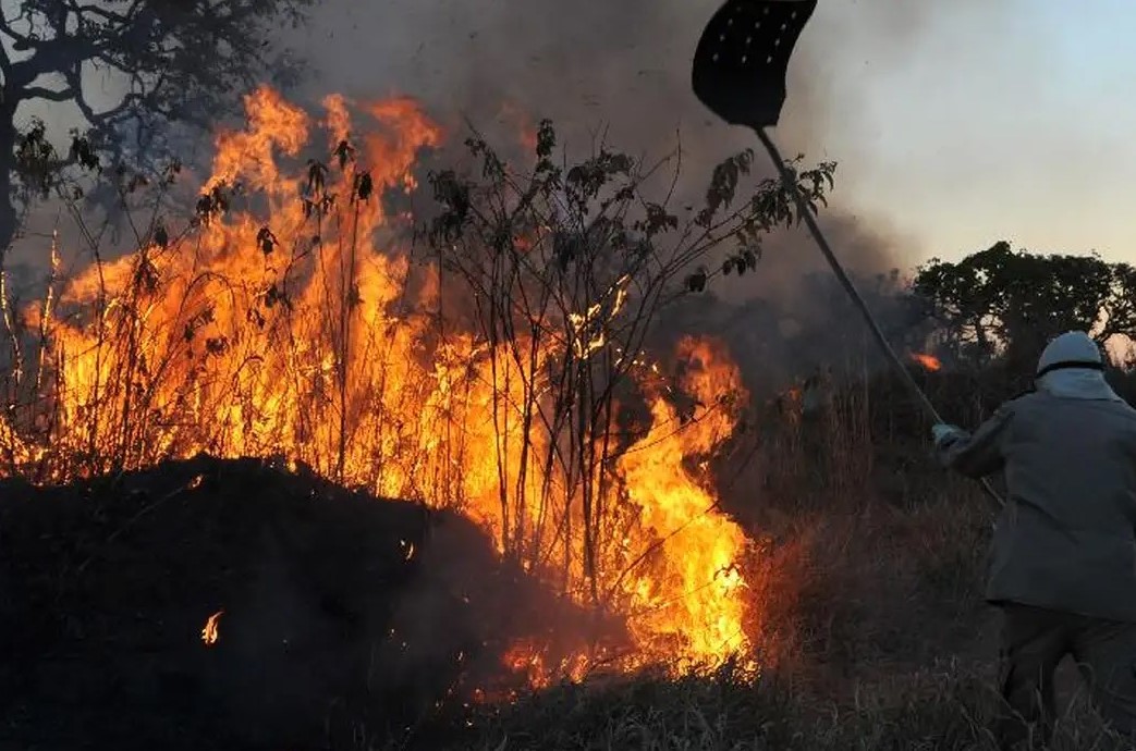 ALARMANTE: Fogo chega no território indígena Karipuna em RO