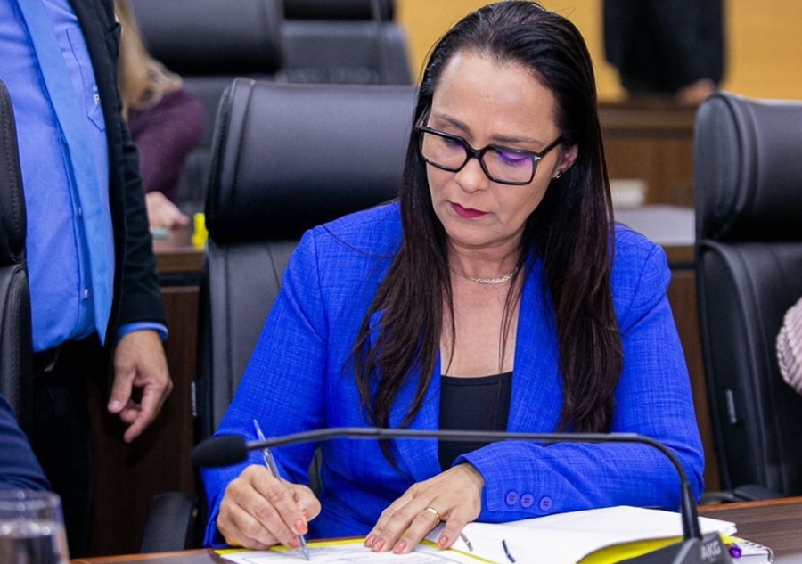 ROSANGELA DONADON: Deputada solicita melhorias estruturais na Escola Álvares de Azevedo em Vilhena