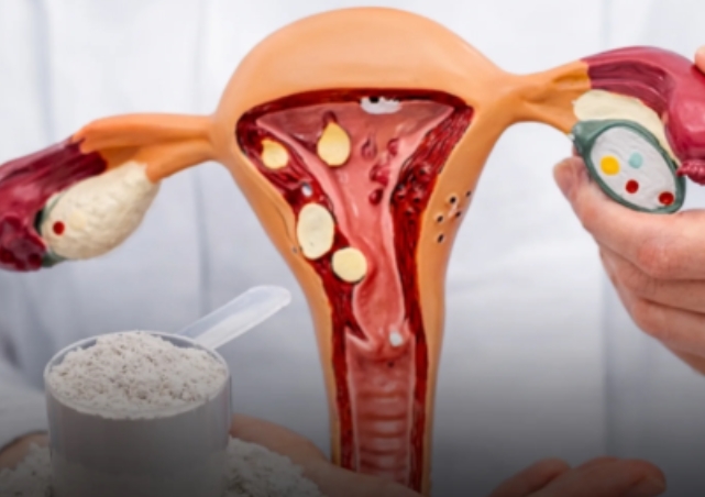 SAÚDE DA MULHER: Ingestão de creatina reduz ciclos menstruais irregulares e melhora a fertilidade