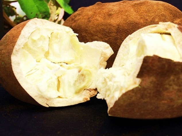 SABOROSO E AROMÁTICO: Cupuaçu o fruto da Amazônia conquista o mundo