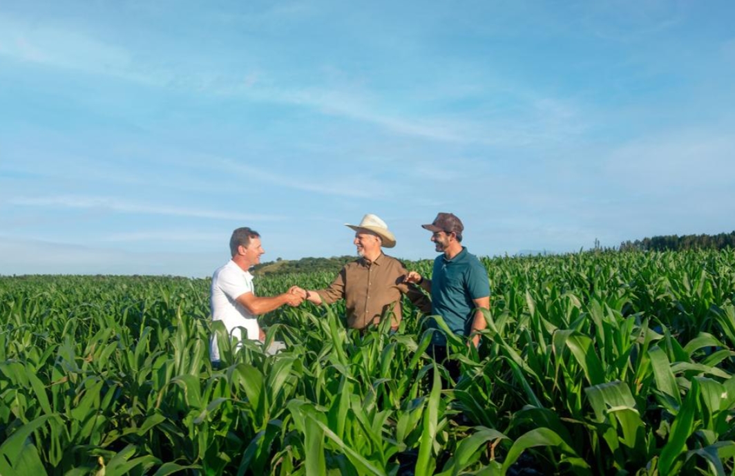 AGRO: Sicredi libera R$ 48,3 bilhões nos primeiros oito meses da Safra 2025/2026