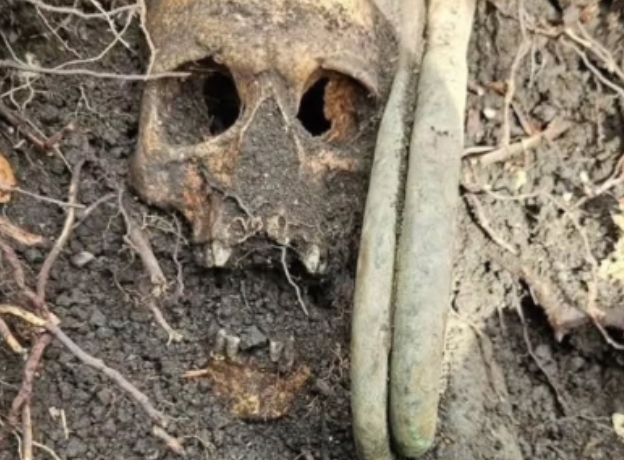 PRIMEIRA GUERRA MUNDIAL: Crânio e corneta surgem após mais de um século e revelam ecos brutais