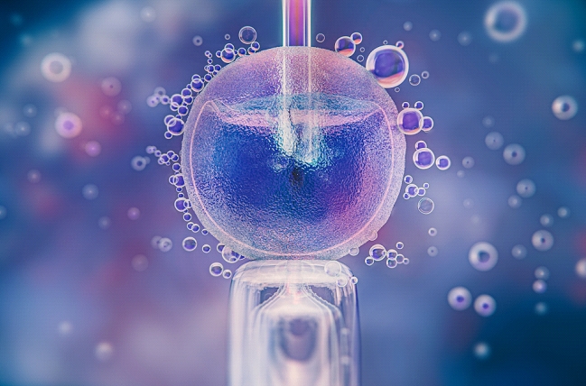 IN VITRO: Aumenta procura por técnicas de reprodução assistida no Brasil