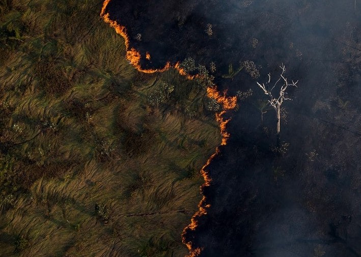 ALARMANTE: Incêndios na Amazônia alcançam níveis recordes e afetam todo o Brasil