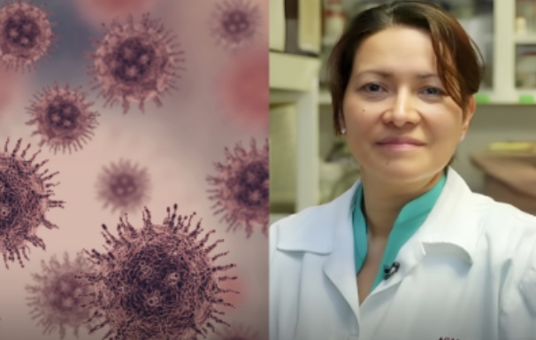 COLO DO ÚTERO: Cientista desenvolve técnica que elimina 100% de vírus HPV causador de câncer