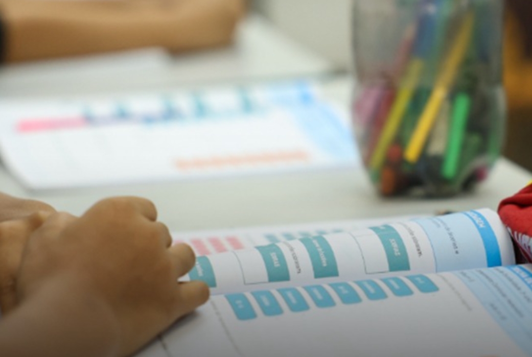 CURRÍCULO ESCOLAR: Educação política passa a integrar currículo escolar brasileiro