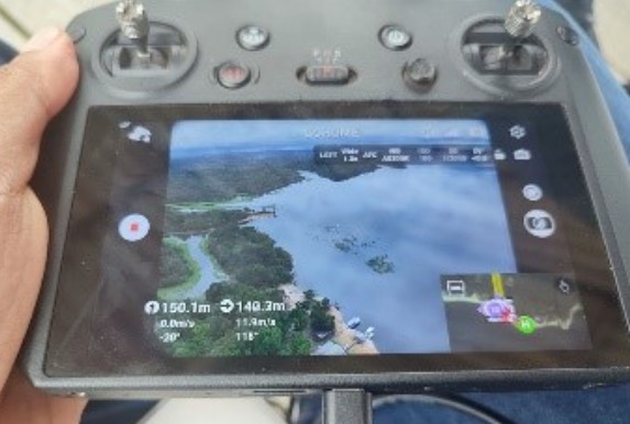 RECORDE DA AMAZÔNIA: Inteligência artificial identifica mais de 600 castanheiras nativas