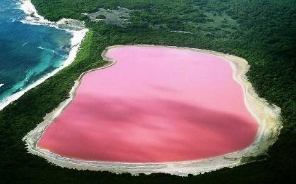 MUITO SAL: Lago Rosa desperta curiosidade e atraí o turismo
