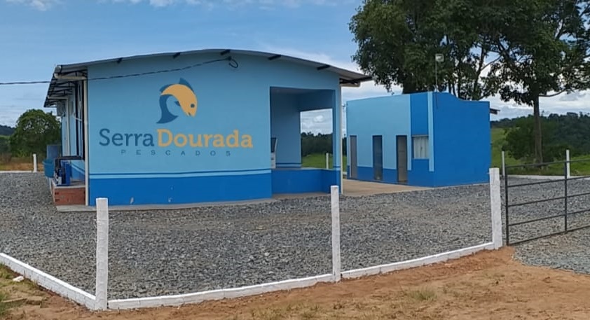 INOVAÇÃO: Sebrae continua atendimento tecnológico durante a pandemia