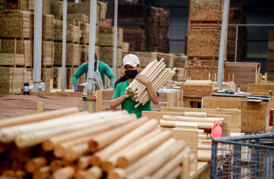 EQUILÍBRIO: 2ª menor taxa de desigualdade de renda do Brasil é em RO