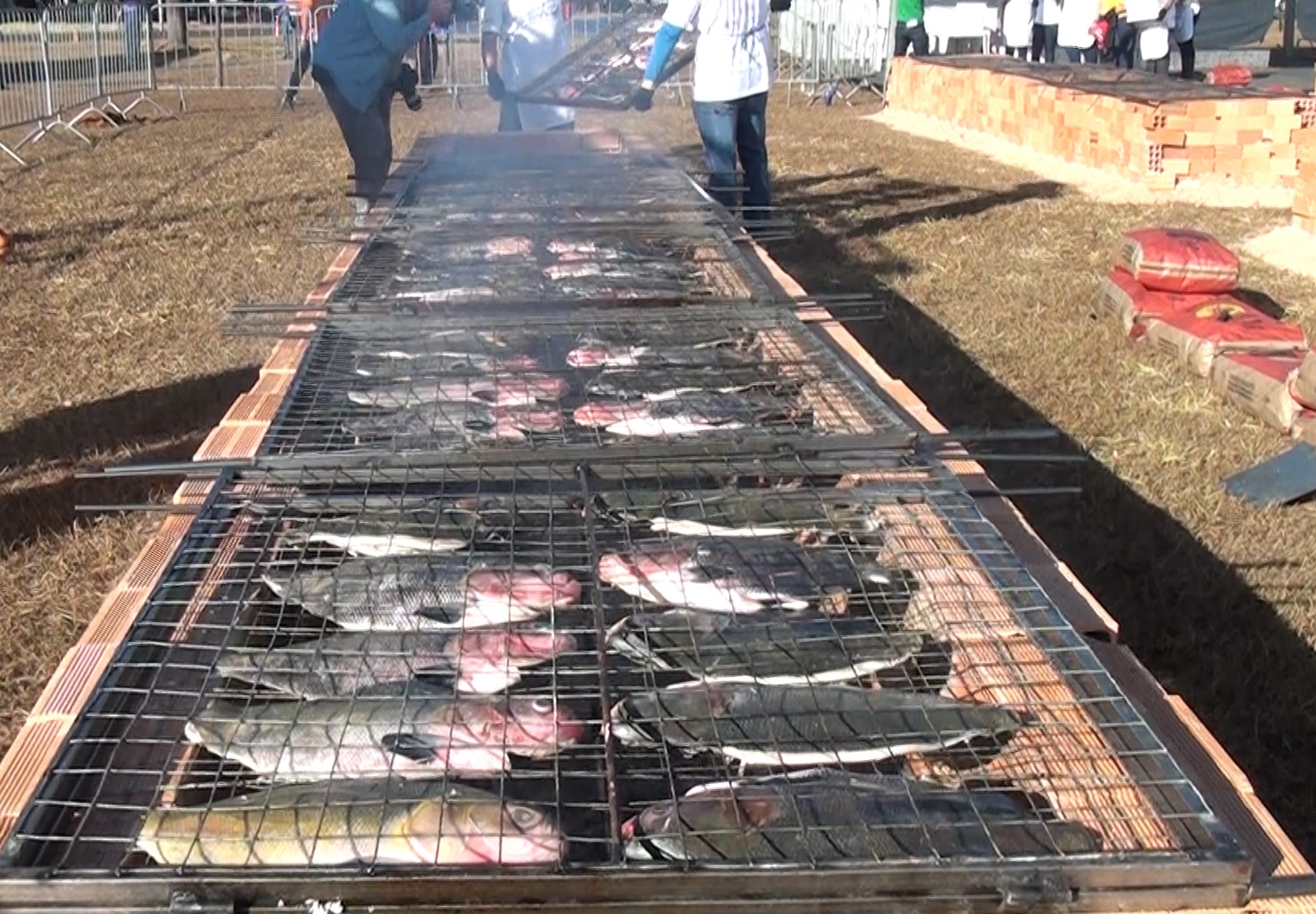 MERCADO PROMISSOR: Criação de peixes tem apoio do projeto Piscicultura em Rondônia