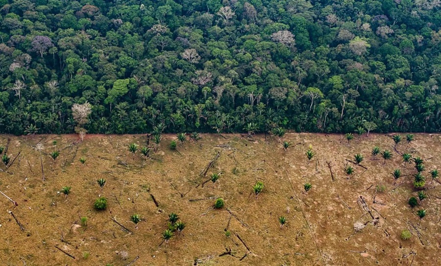 EM RONDÔNIA: Funai e Incra reconhecem PAD Burareiro como Terra Indígena