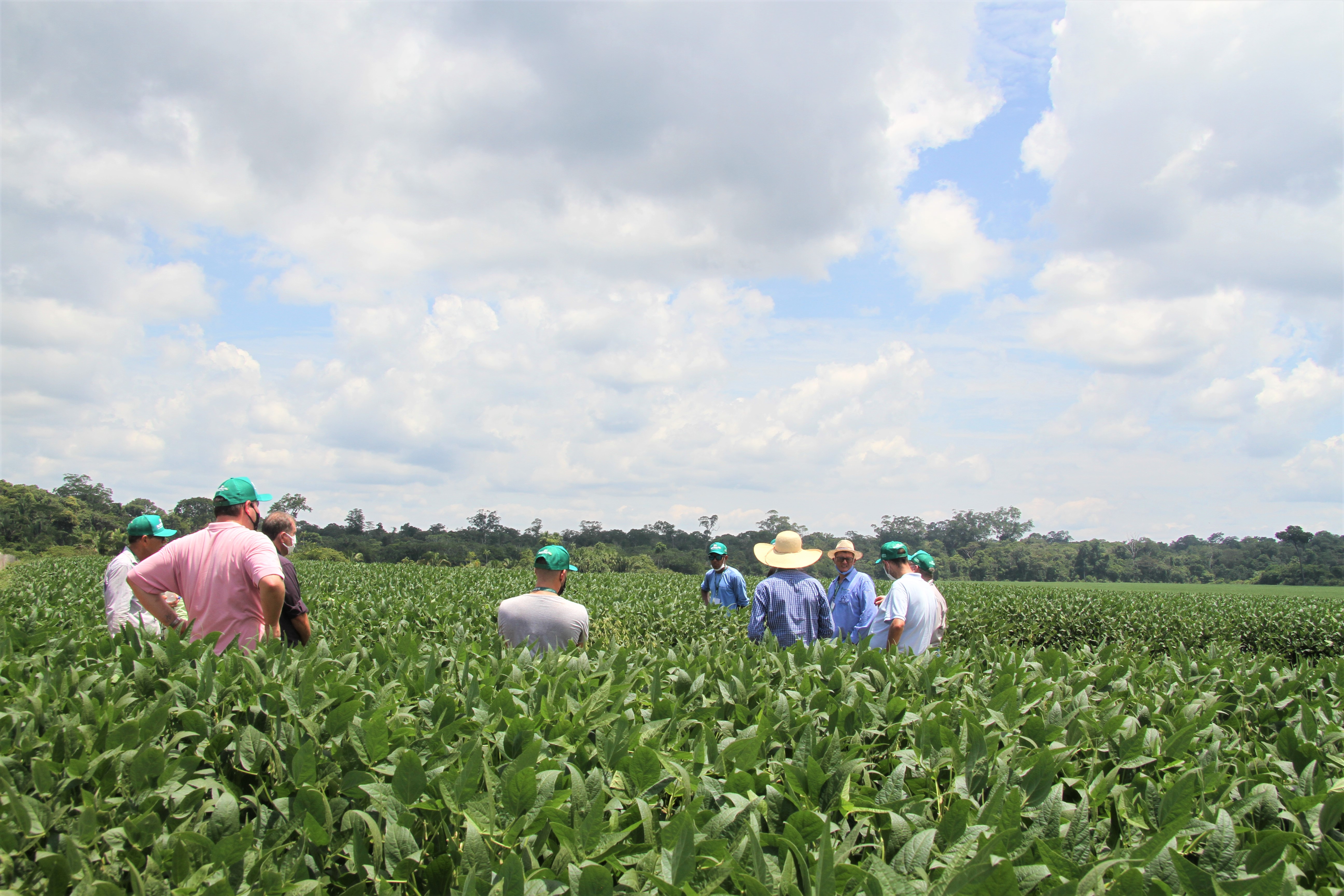 Dia de Campo Sustennutri reúne produtores rurais na fazenda Serra Verde 