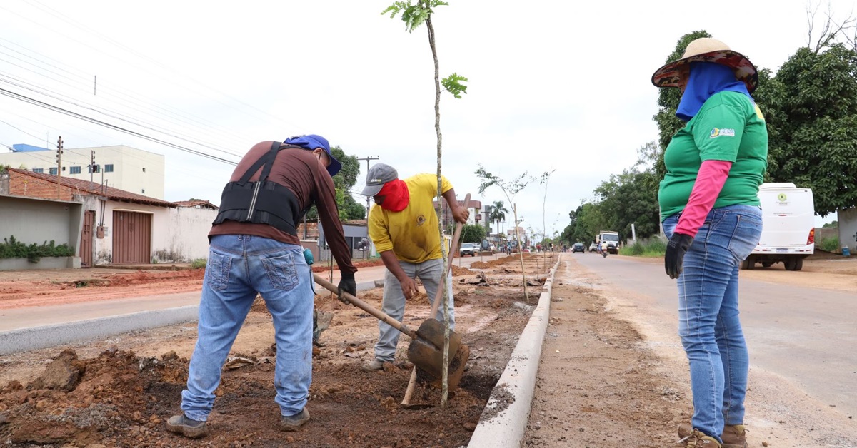 CIDADE VERDE: Rua Venezuela recebe projeto de infraestrutura e paisagismo