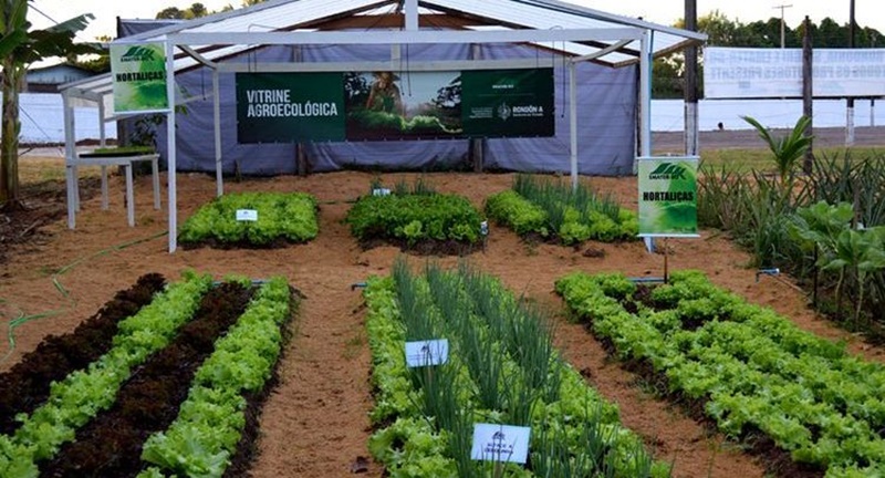 SUSTENTABILIDADE: Evento vai debater a produção de produtos na 3ª Semana de Agroecologia 