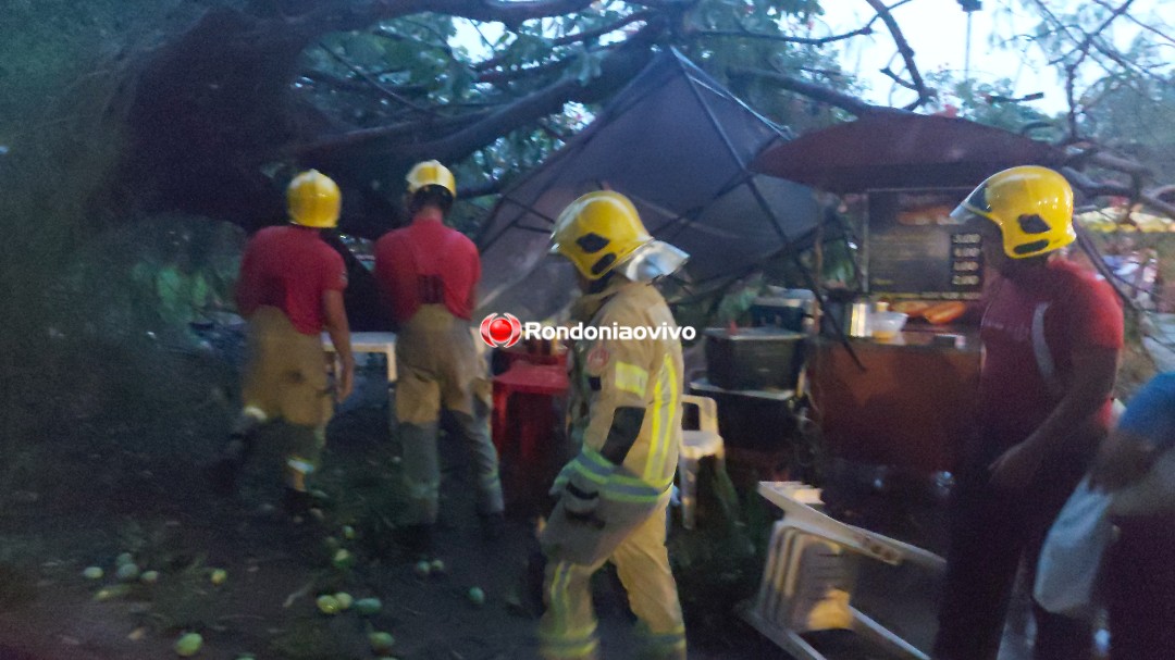 CHUVA FORTE - AO VIVO: Árvore cai na Praça do Baú e atinge vendedor ambulante