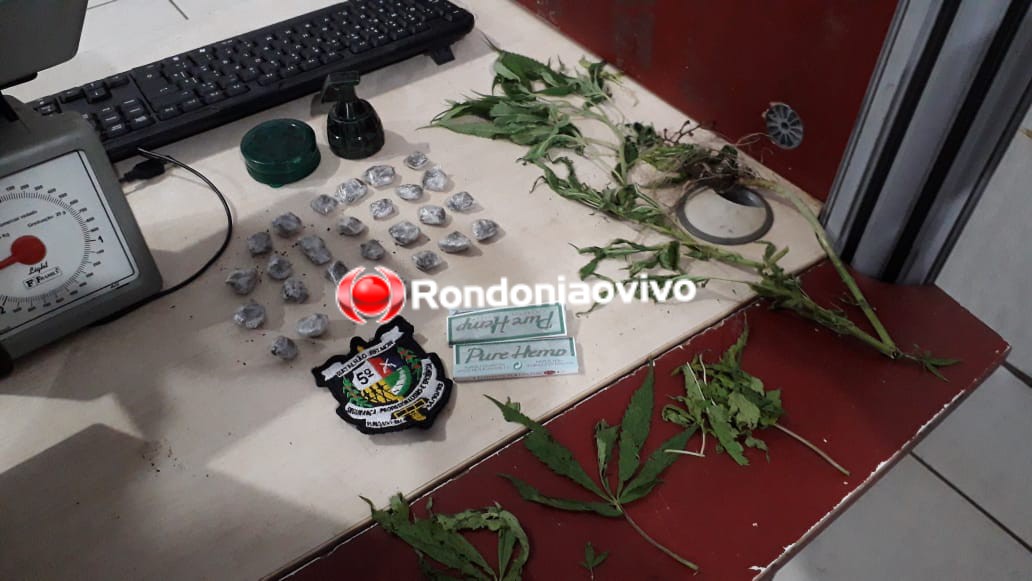 ORGULHO DO MADEIRA: Traficante é preso com drogas e pé de maconha após assaltar mulheres